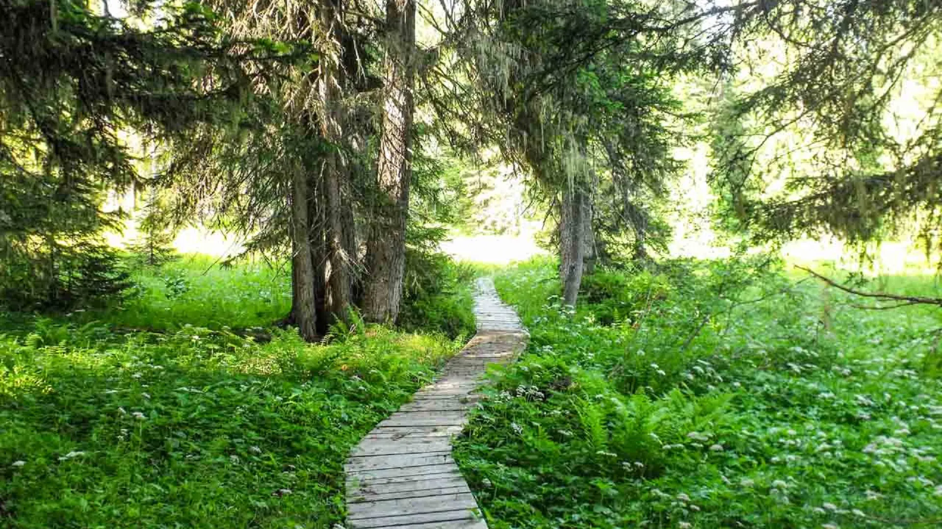 Sentier à thème de Covetan à Notre Dame de Bellecombe