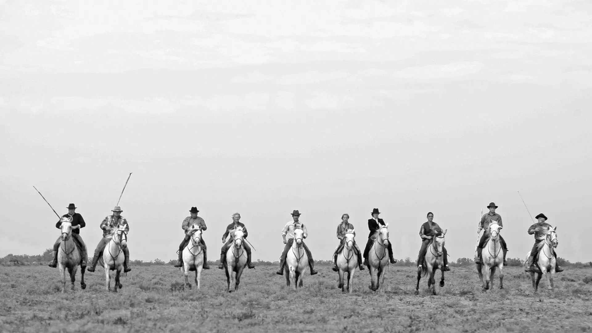 Gardians - Camargue