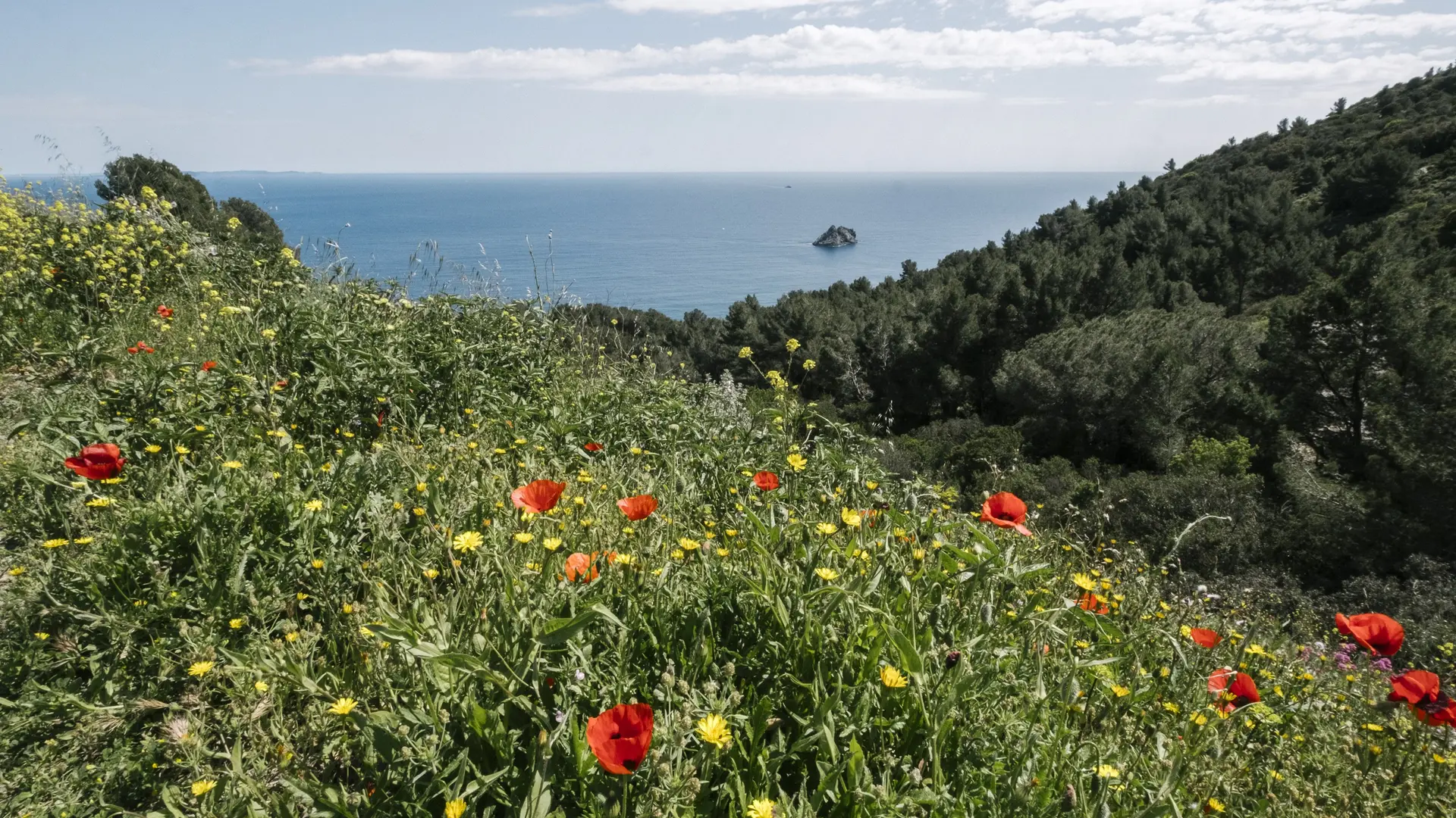 Cap Sicié Massif