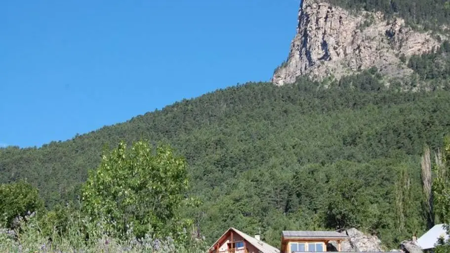 Peyron Noelle - Lys Martago