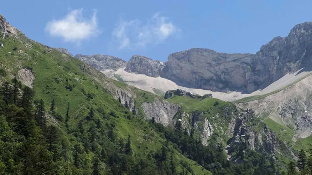 Camping la guarrigue