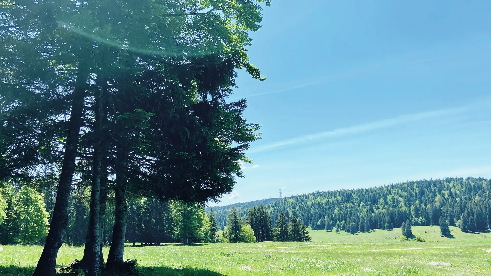 Plateau de Retord