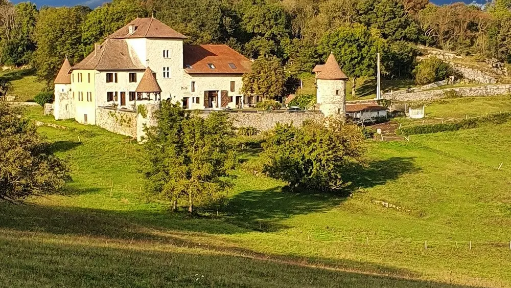 le sud