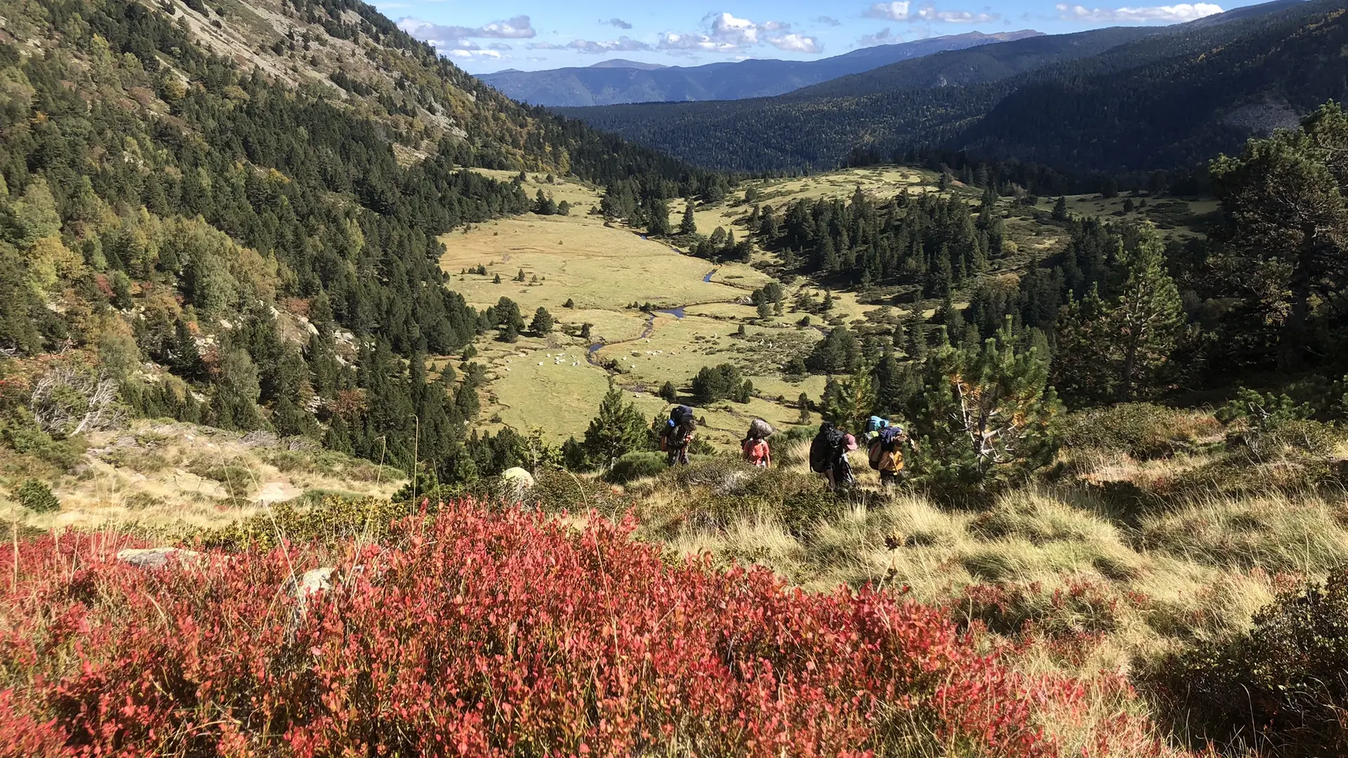 vers l'étang des Rabassoles-Donezan