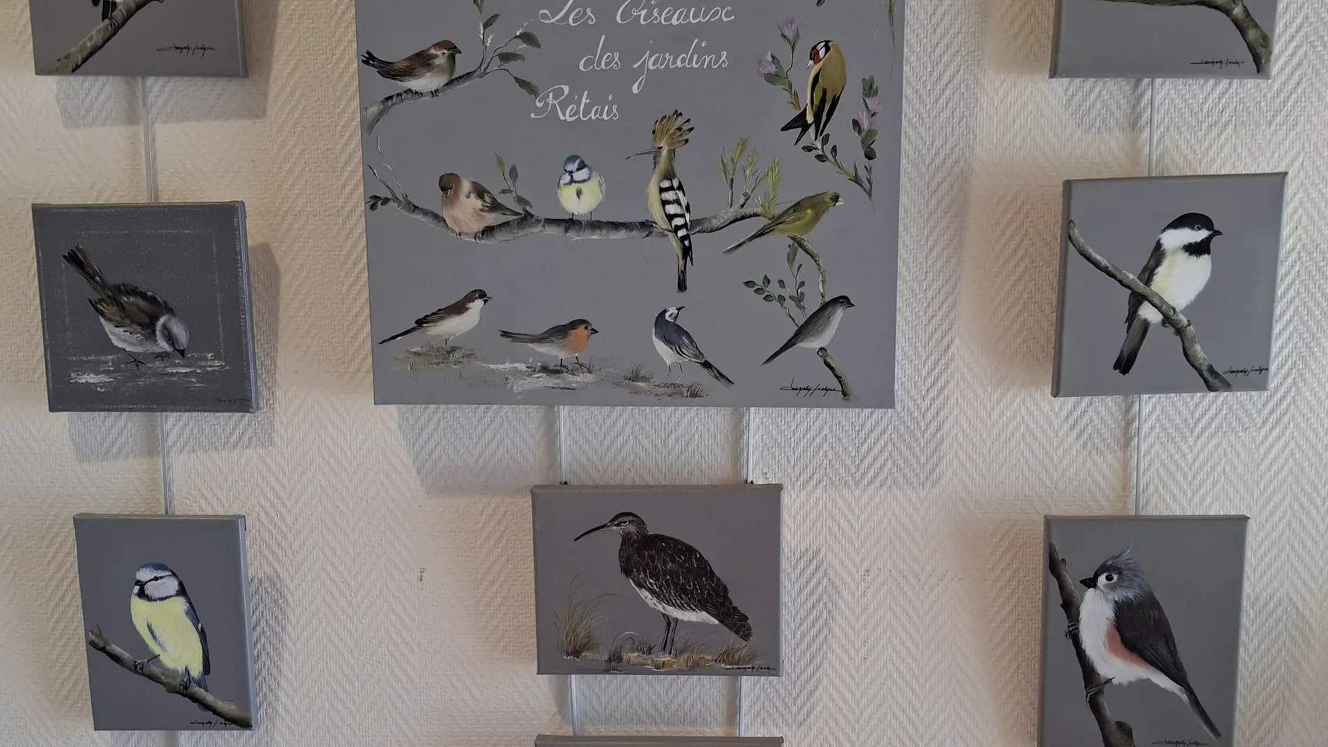 Les oiseaux des jardins rétais