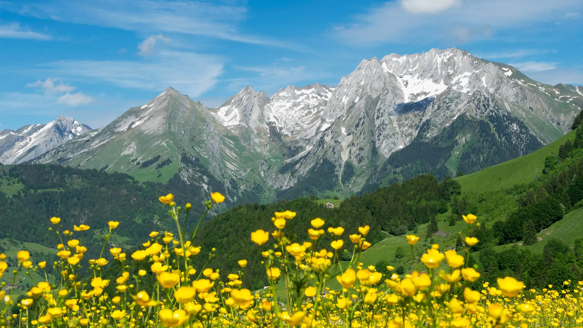 Vue sur les Aravis