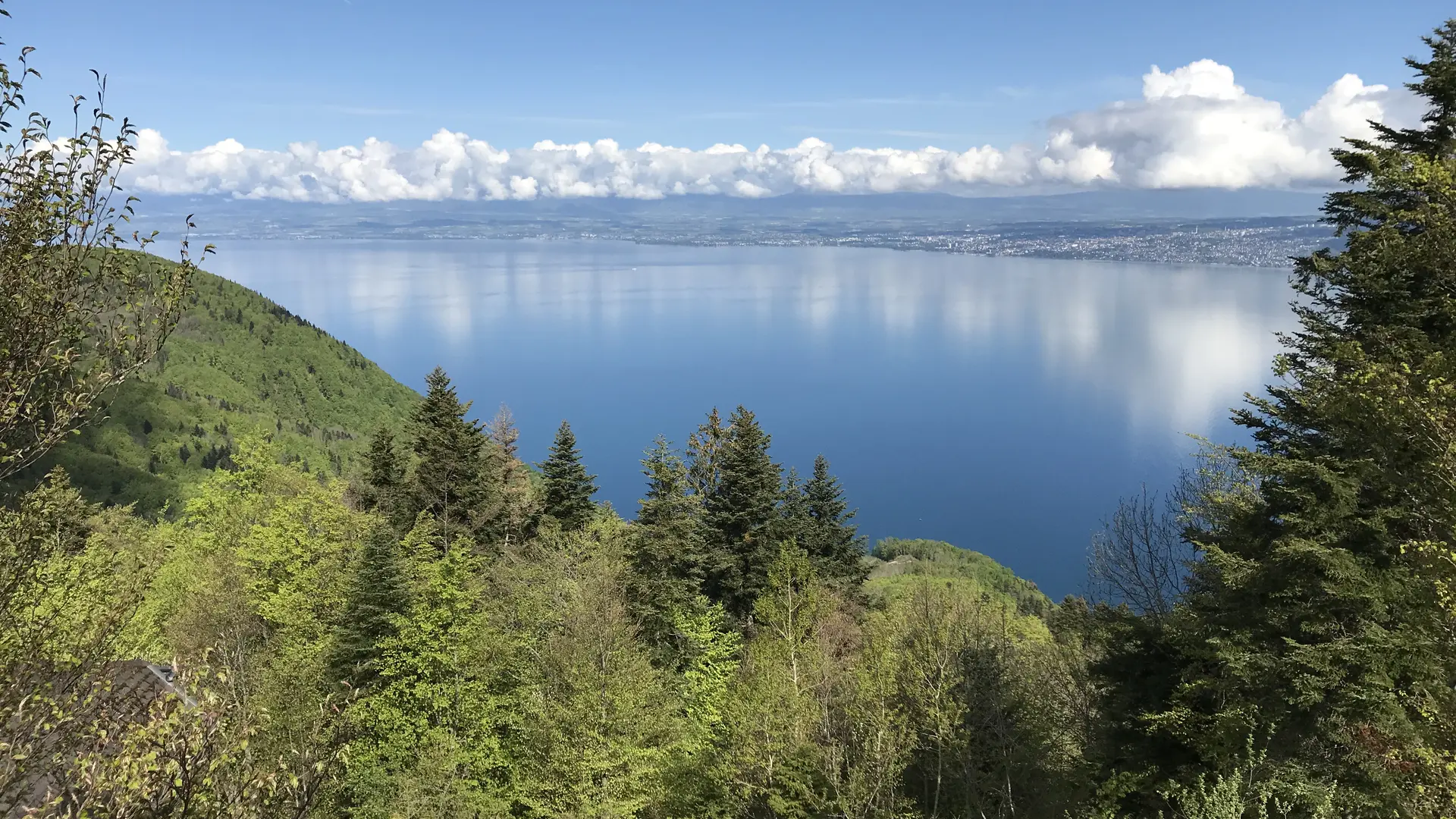 Vue en été depuis le chalet