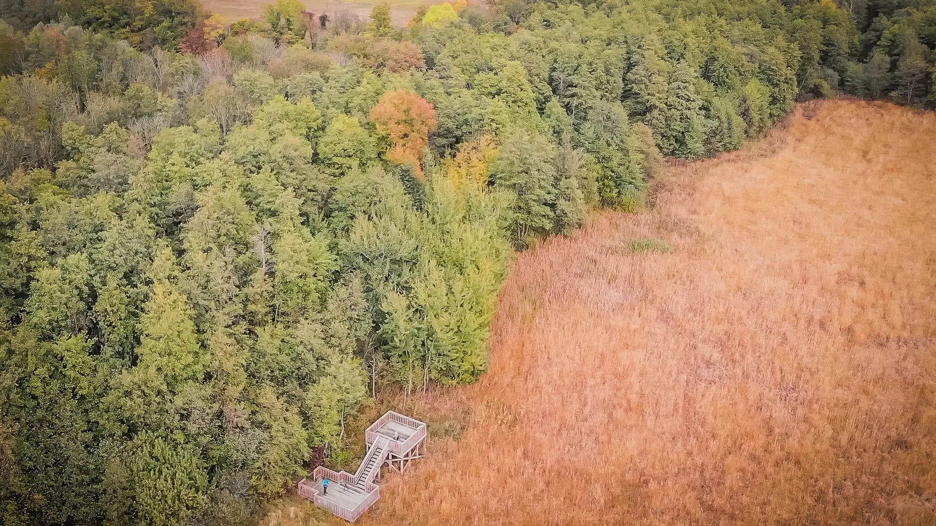 Marais des BIdonnes et son observatoire vu du ciel