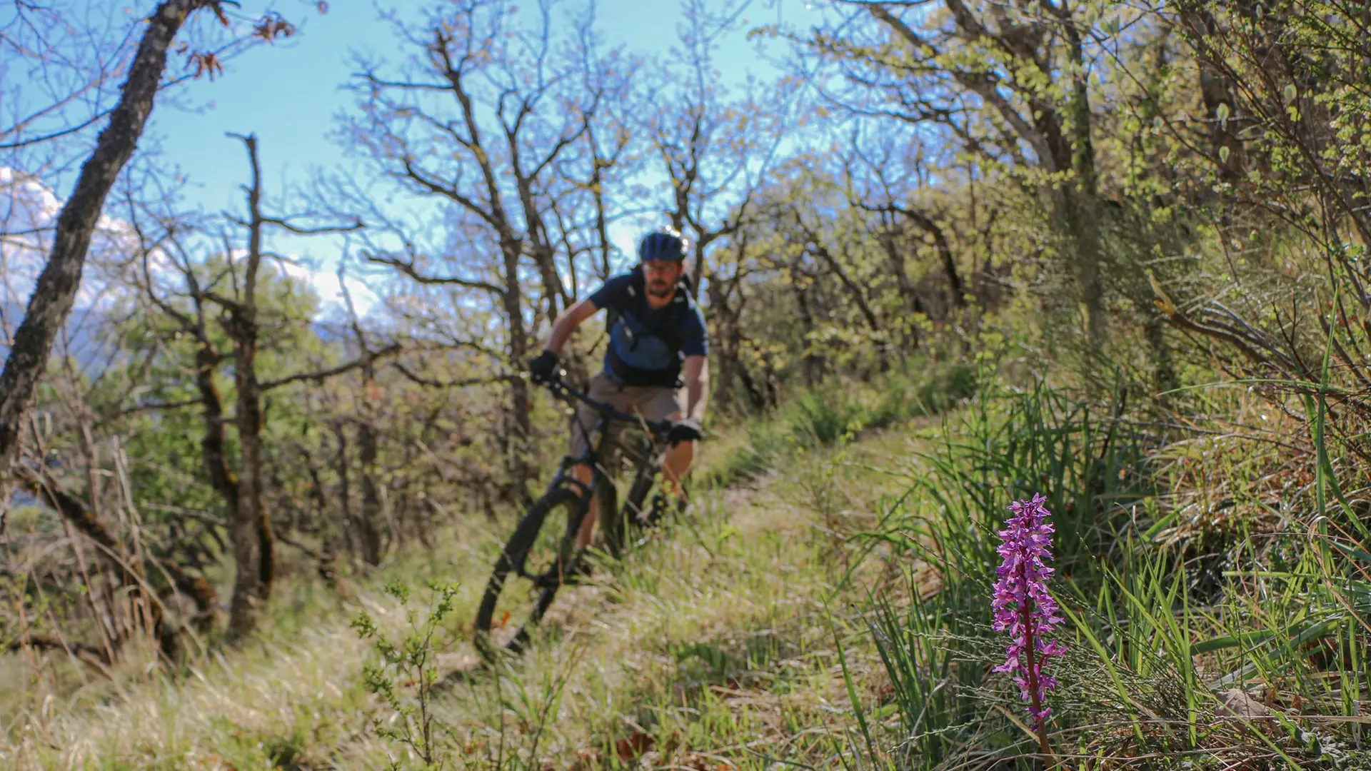 VTT Longeagne Marjaries