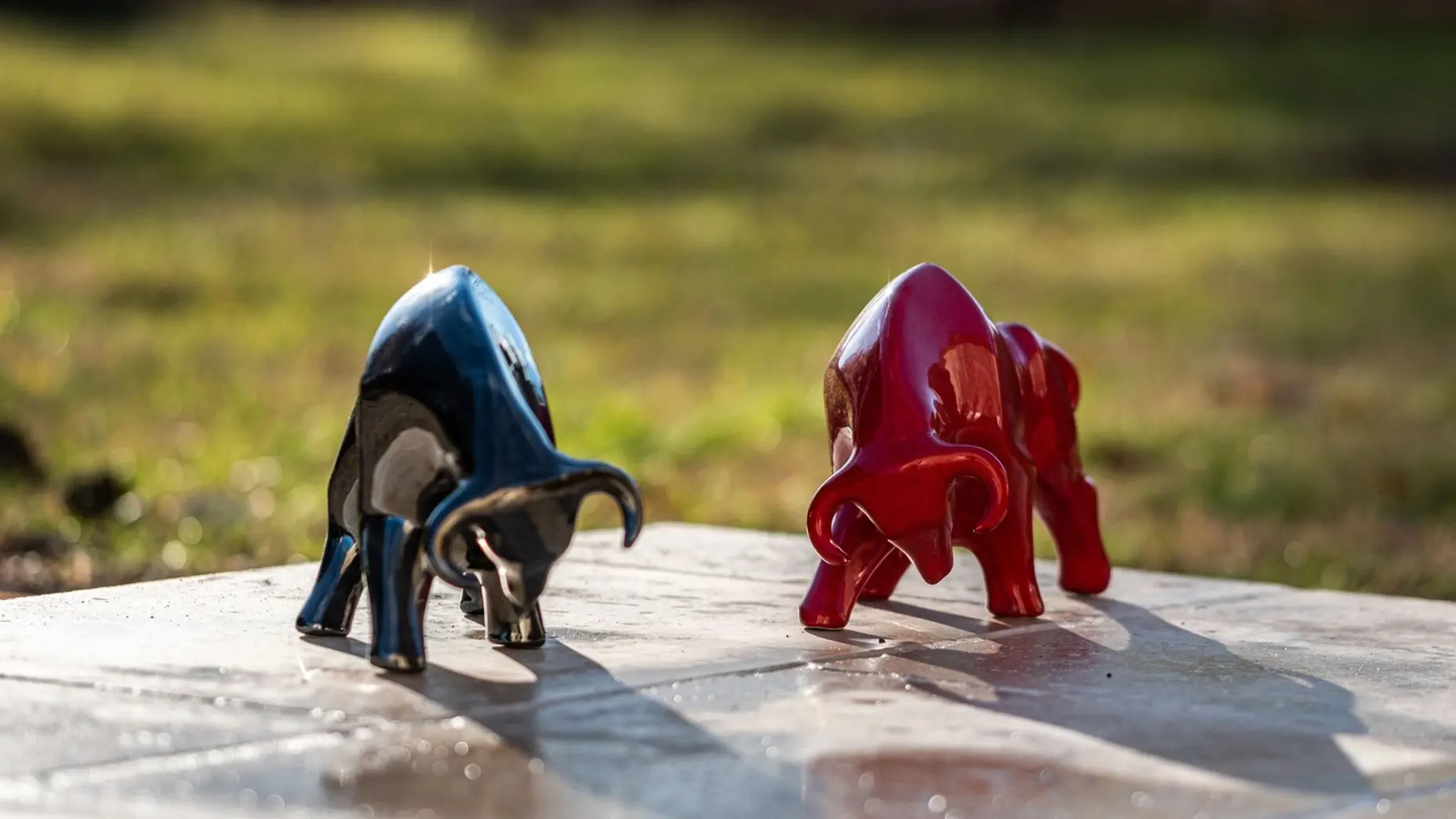 Mas Papabiou - Romanin_Eygalières