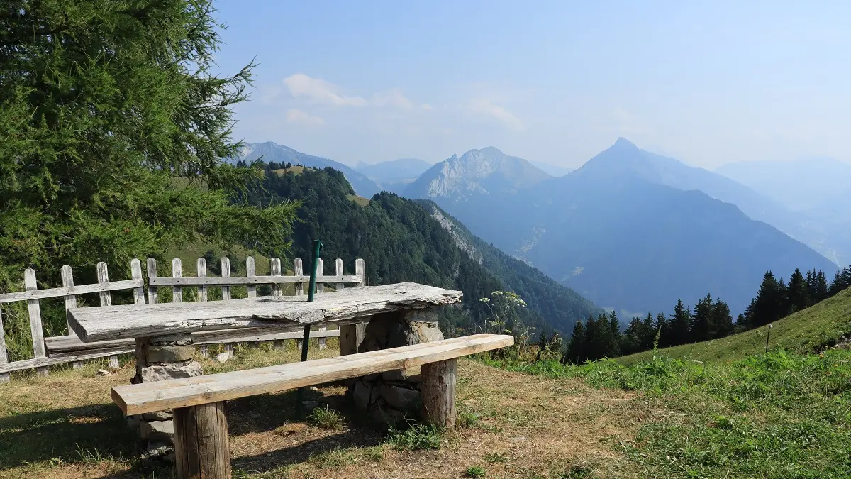 Panorama