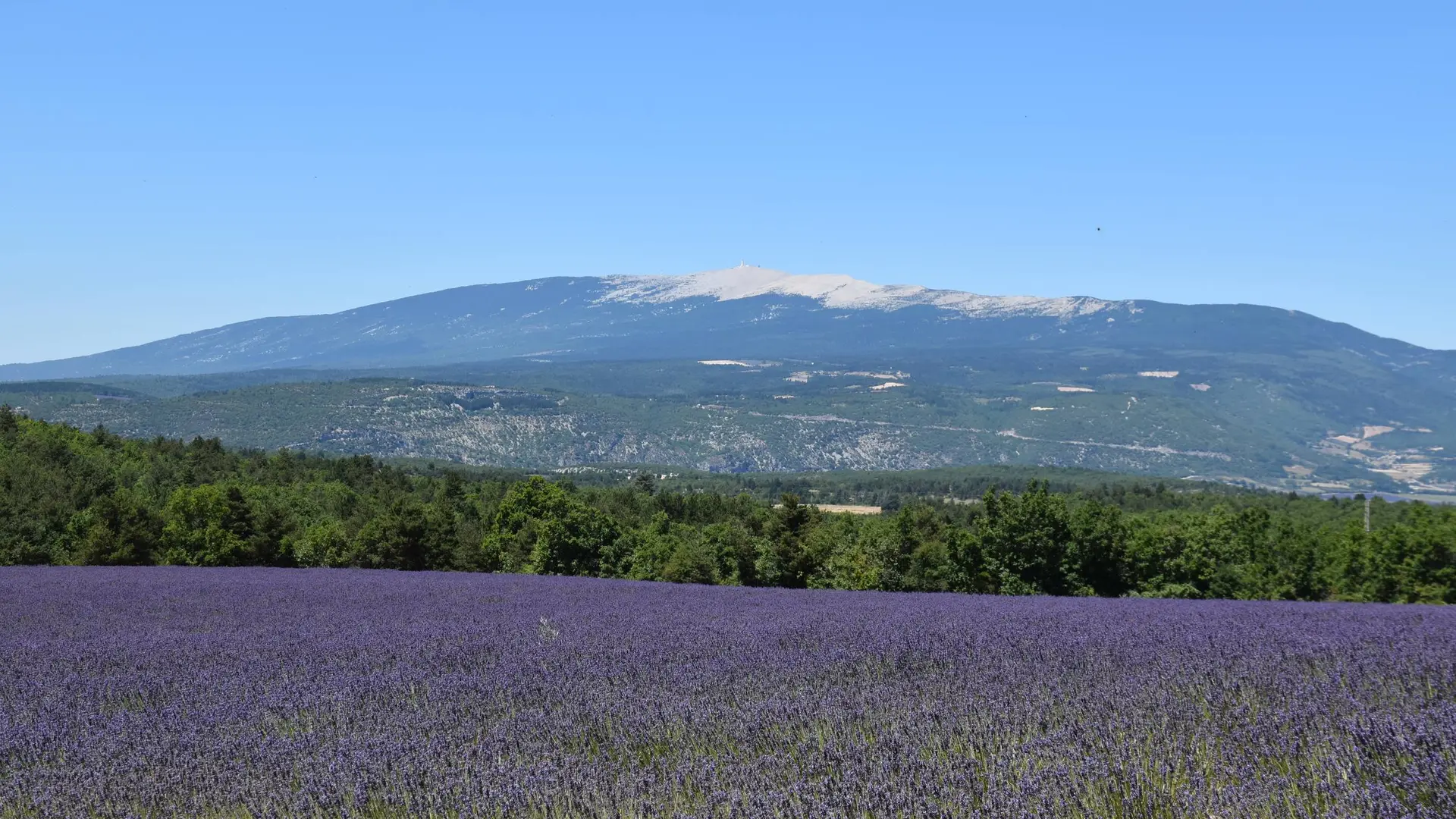 Vue Ventoux
