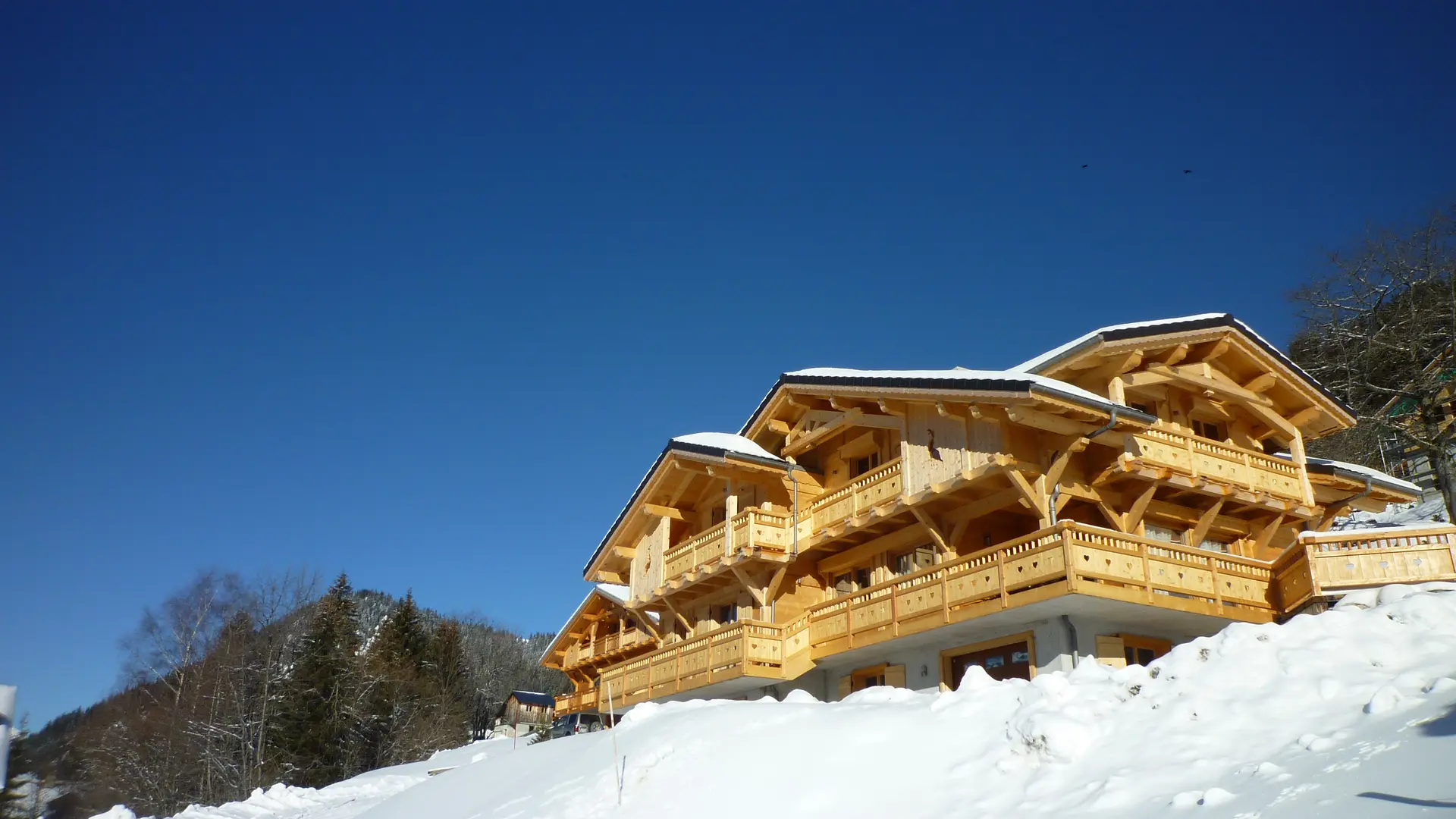 Chalet l'Etagne