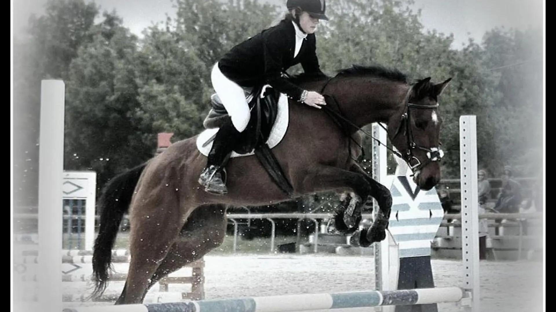 cso, dressage, compétition équestre