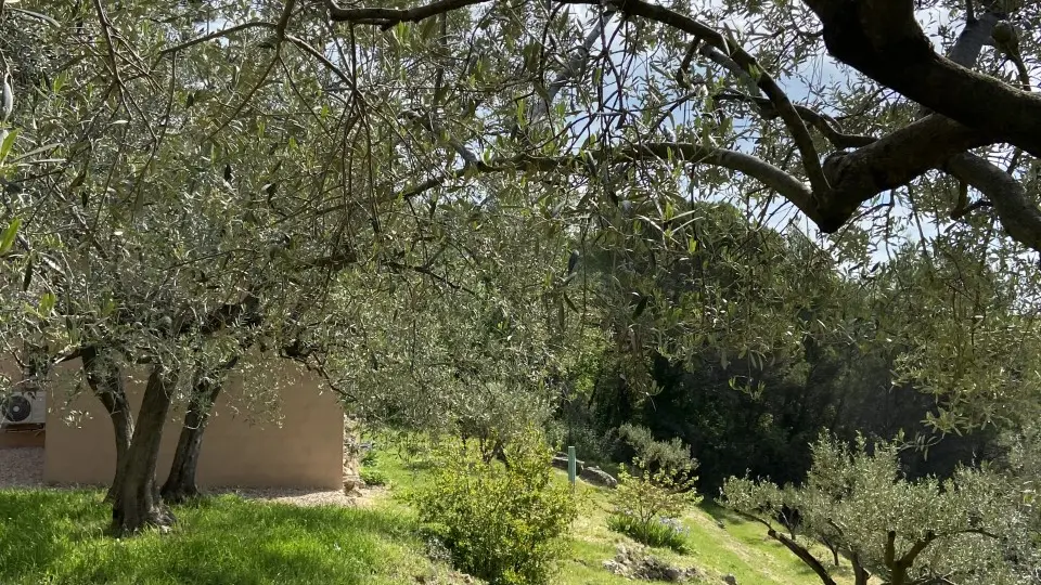 La Cabane de Chiffounette