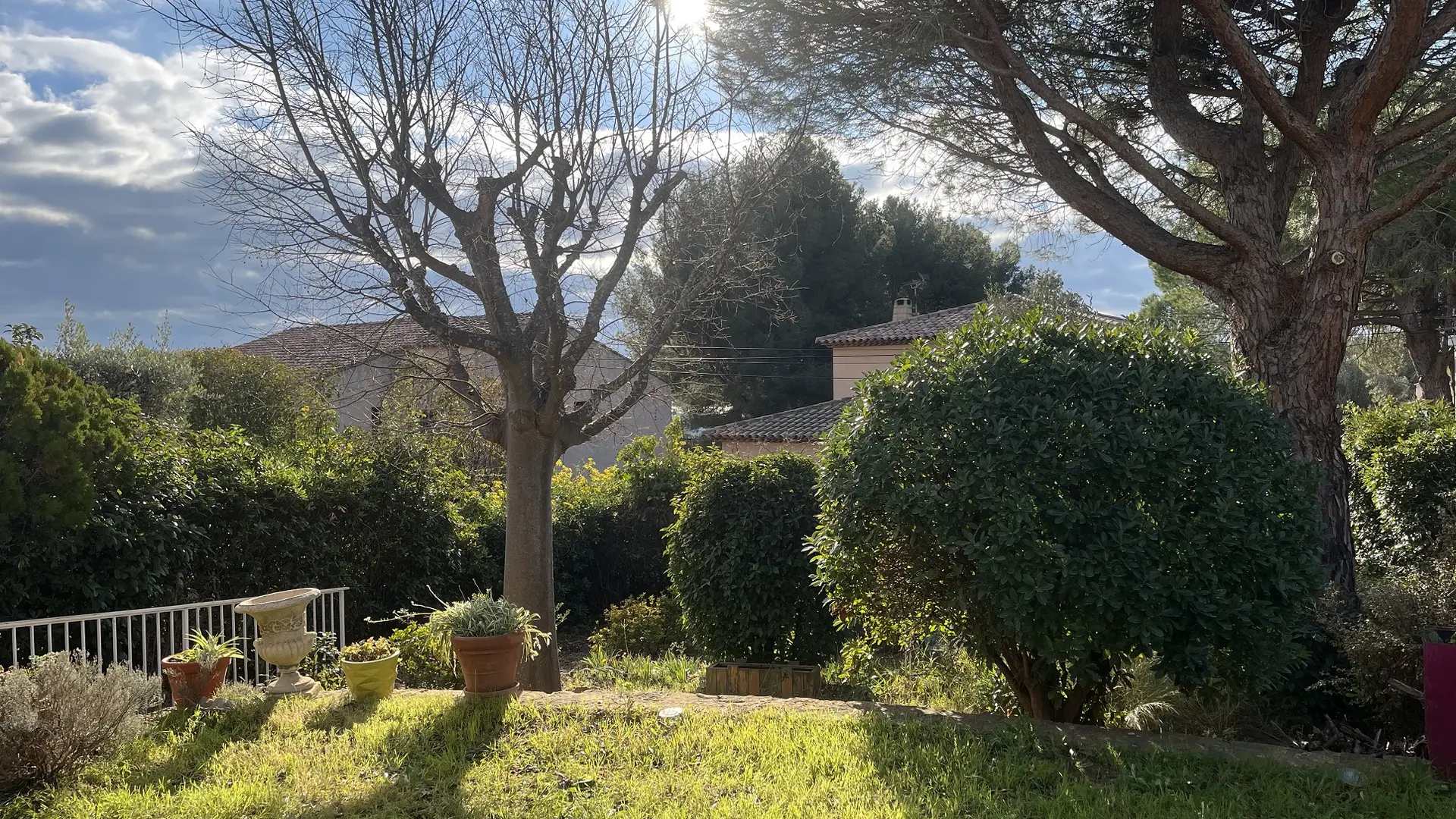 Vue extérieure_jardin