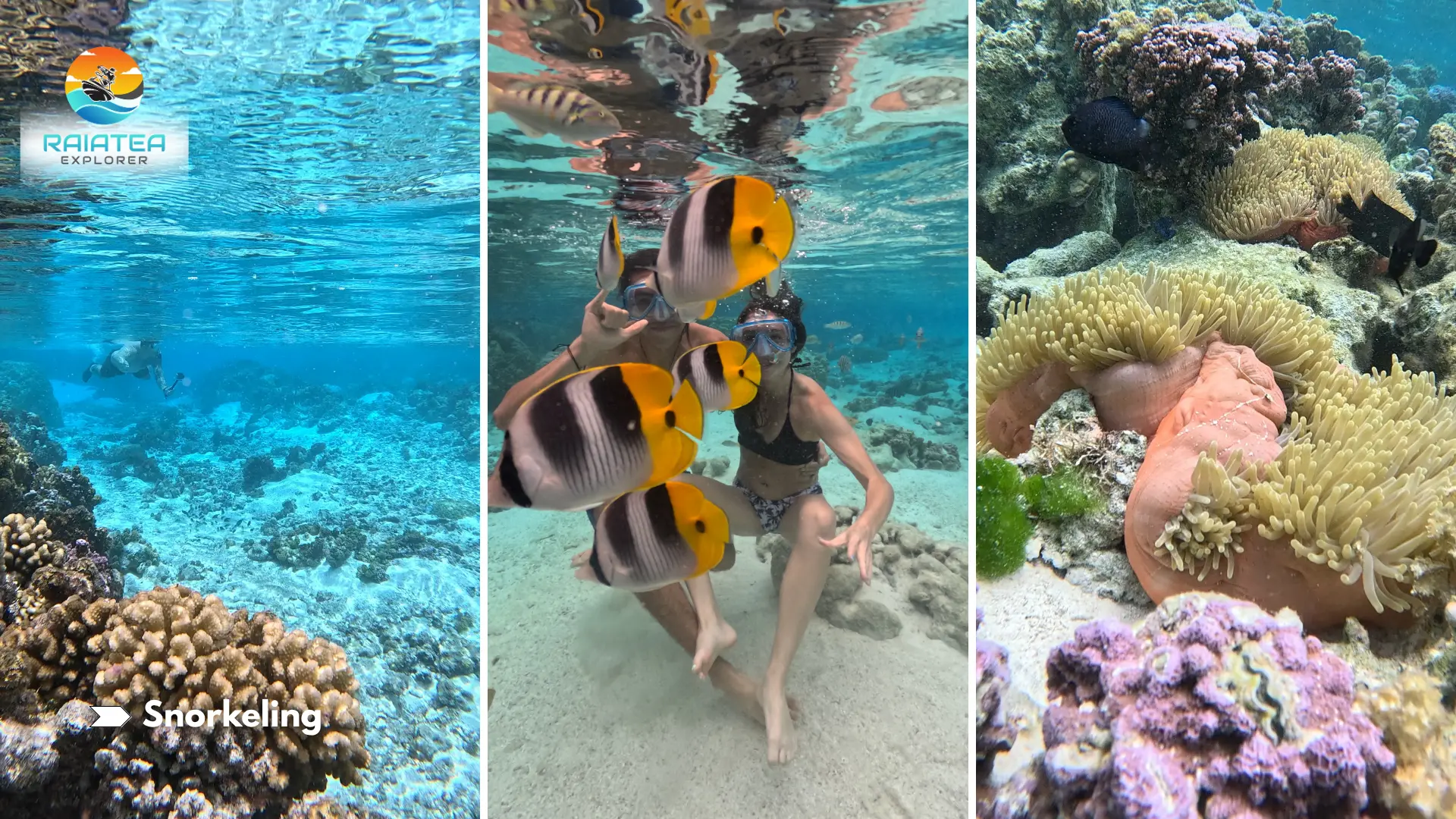 Snorkeling sur des sites préservés