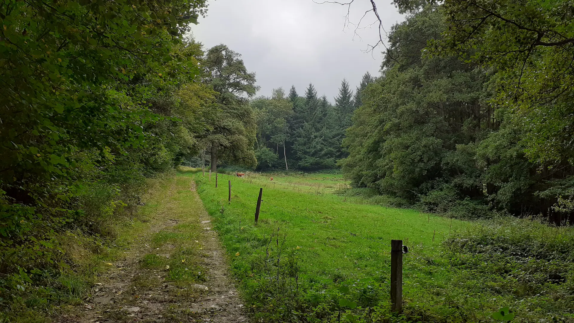 Verrières-en-Forez