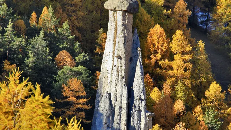 La demoiselle coiffée de Gambarel automne