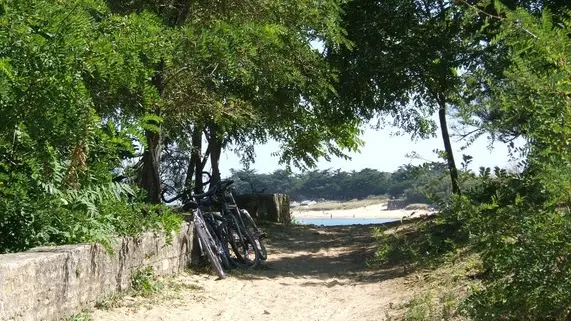 Plage et vélos