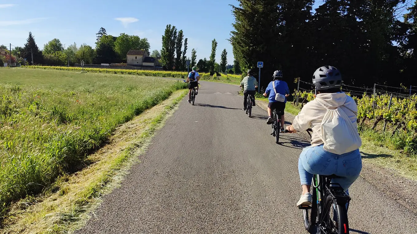 Provence Tourisme en E-bike_Saint-Rémy-de-Provence