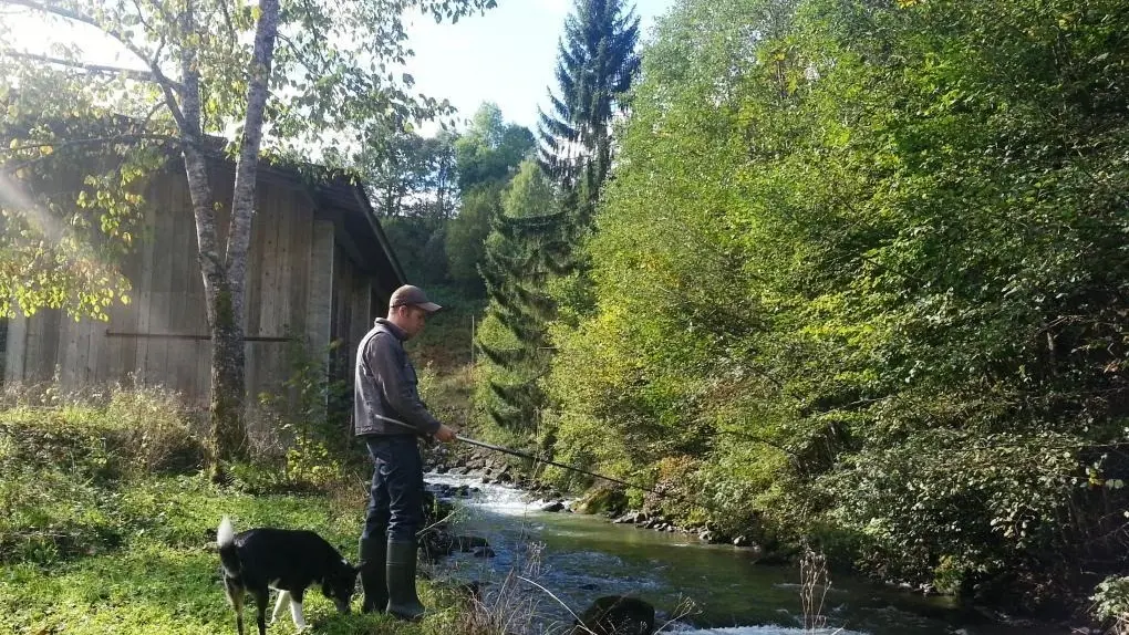 LE FIER , rivière de 1ère catégorie,  coule tout le long du domaine de l'ANCIENNE SCIERIE pour le plaisir des amateurs de pêche.
