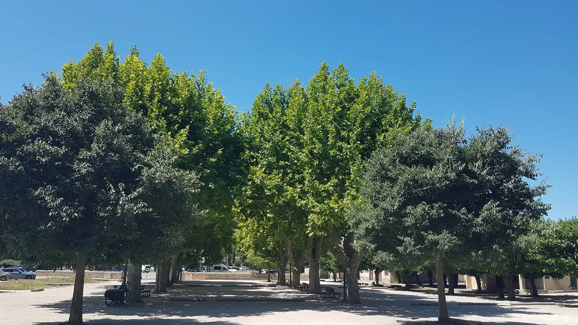 Boulodrome d'Eygalières_Eygalières
