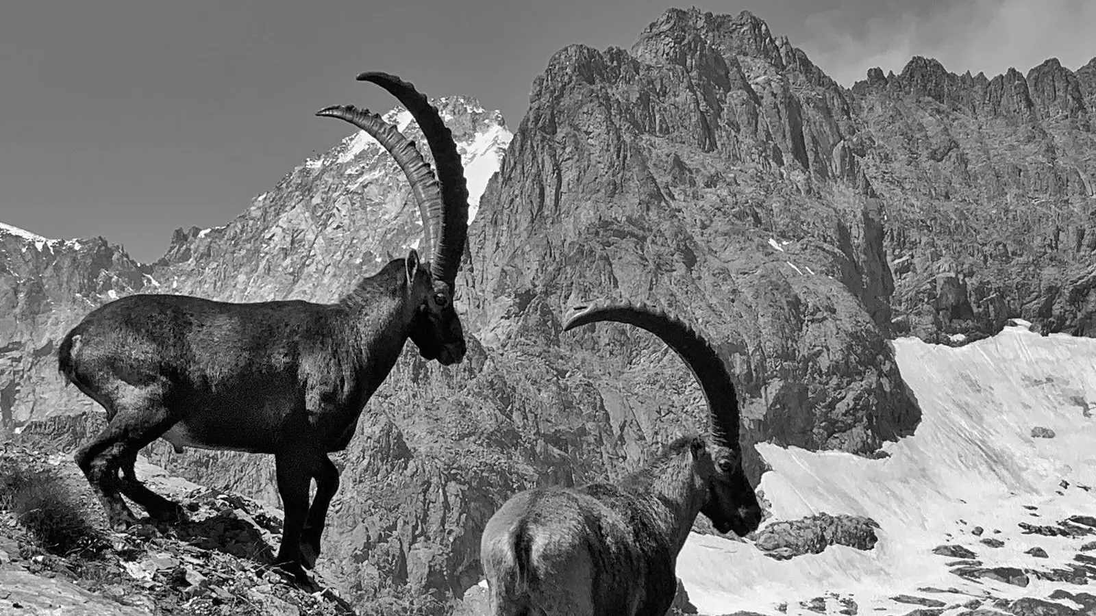 Randonnée accompagnée journée à Chamonix - La maison Umaylam_Chamonix-Mont-Blanc