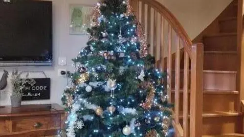 Sapin de Noël