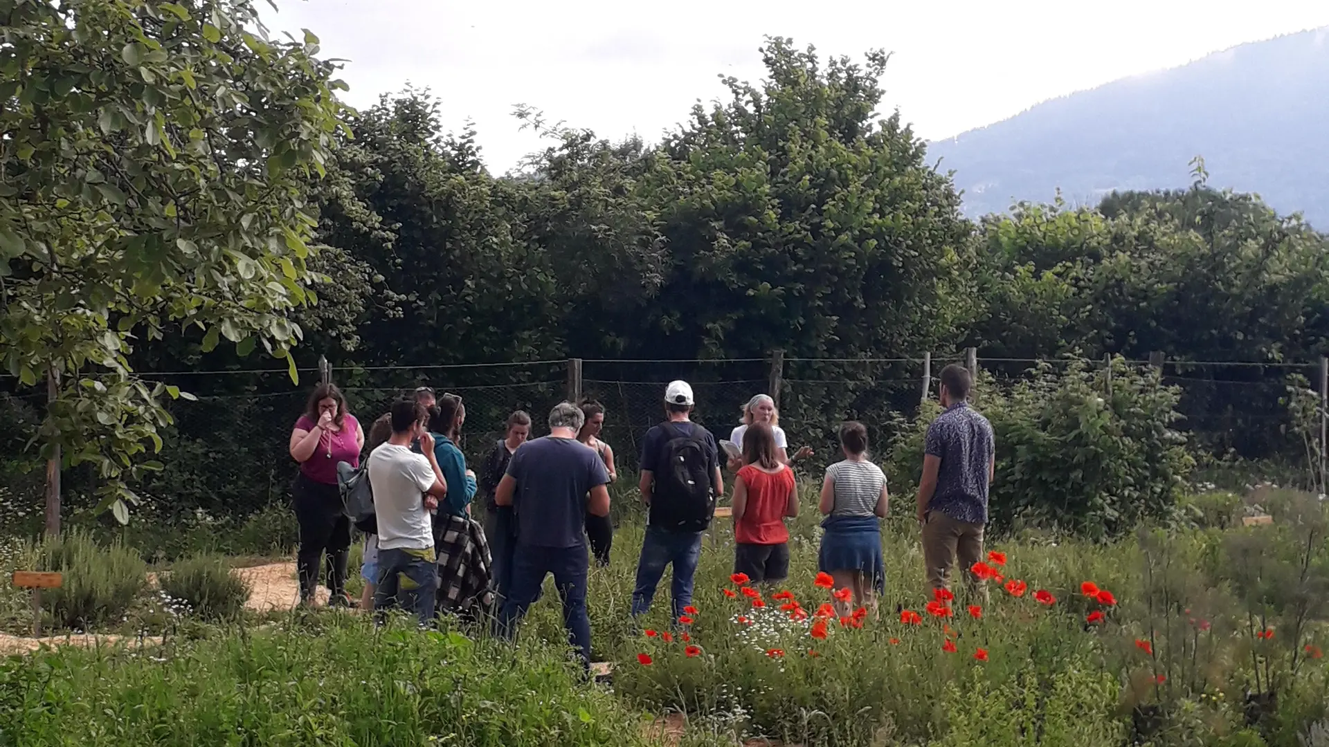 Groupe en visite guidée dans un champ