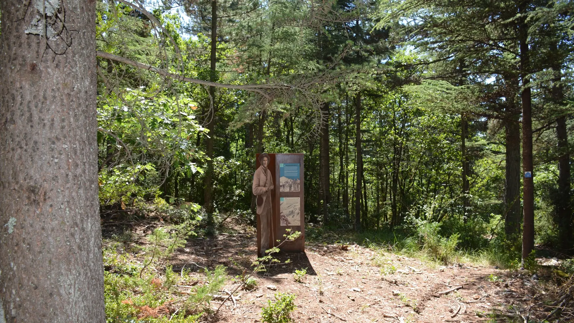 Médiation sur les reboiseurs du Ventoux