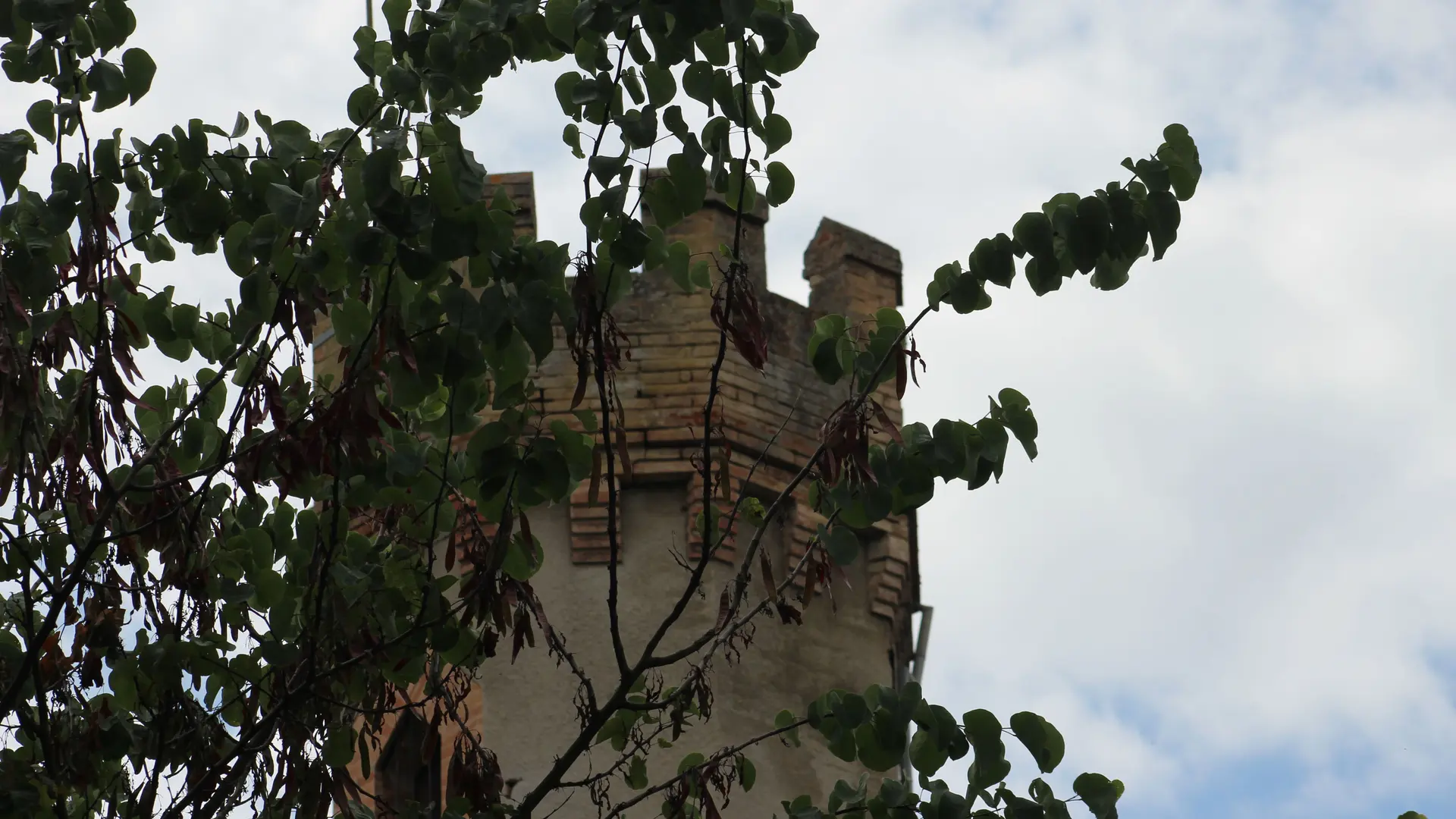 detail tour principale