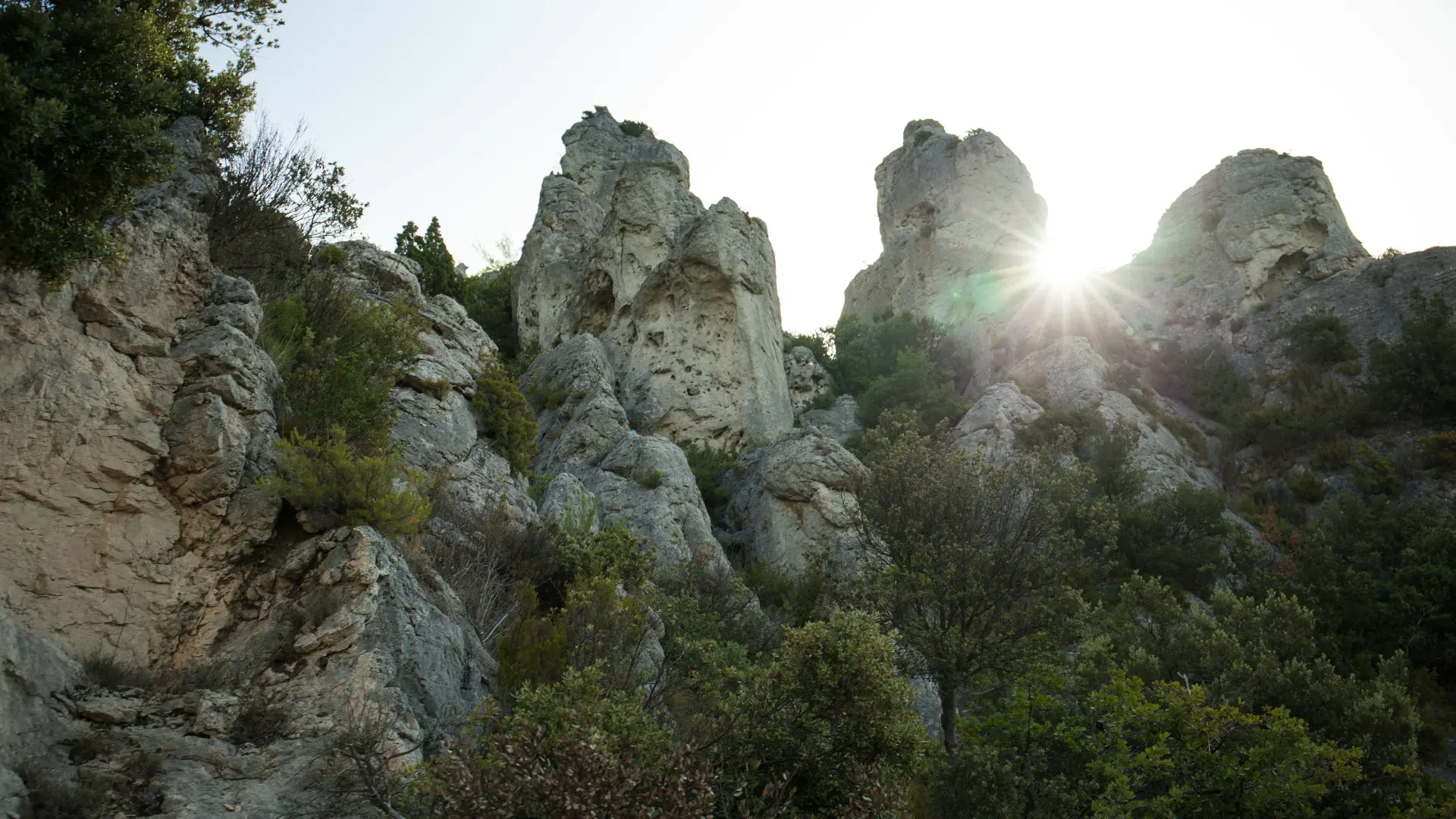 Montagne de la Loube - La Roquebruss