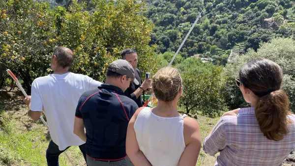 Visite guidée et déjeuner à la Ferme des Citrons Menton