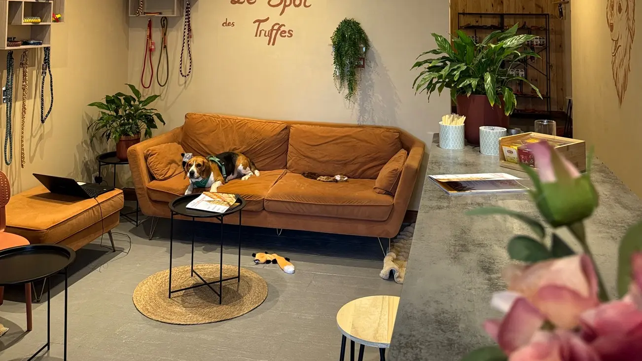 Le Spot des Truffes_Montauban