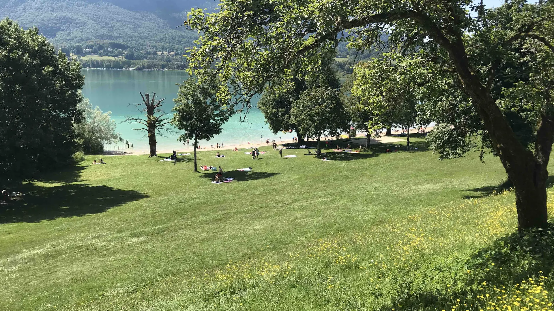 Plage en herbe à Aiguebelette