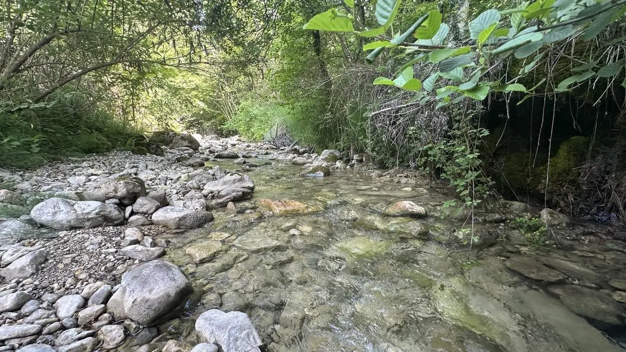 Situé au pied du gîte