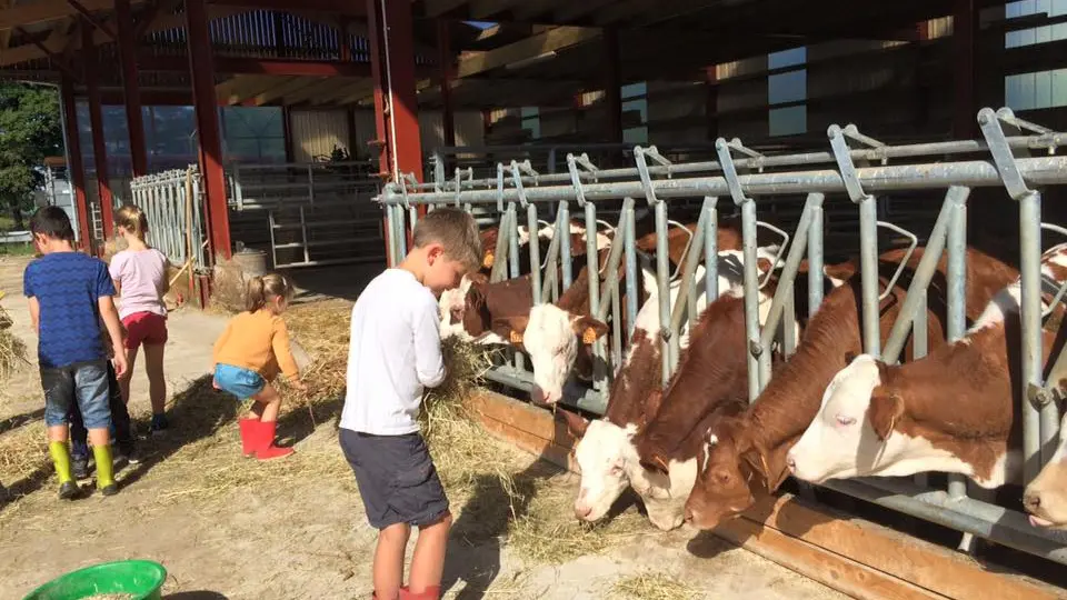Les enfants à la ferme