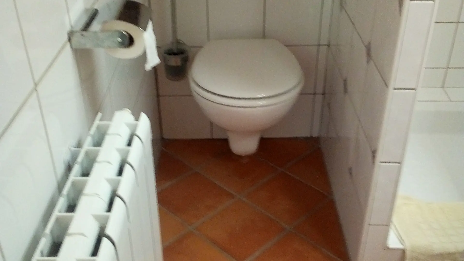 Toilettes dans la salle de bain du rez-de-chaussée