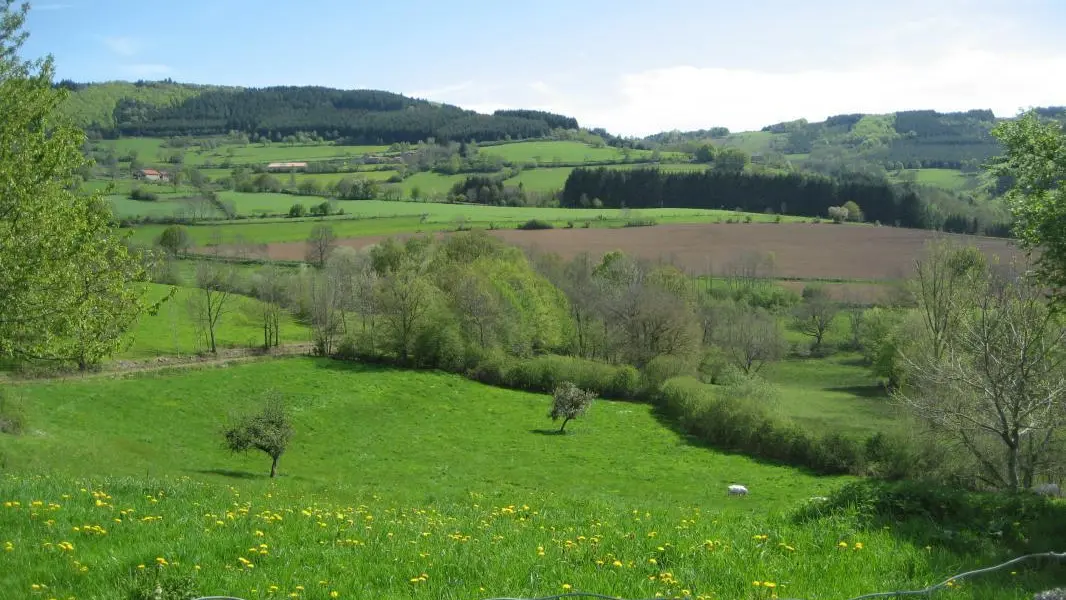 Campagne environnante côté est.