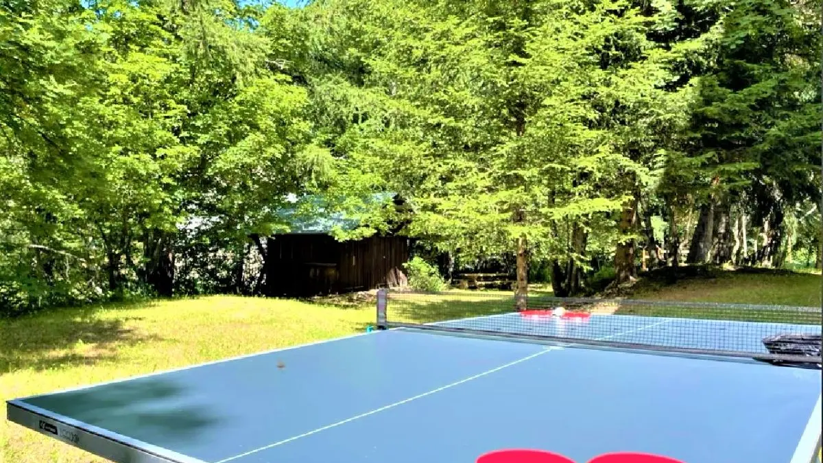 Table de tennis de table au milieu d'un jardin en été