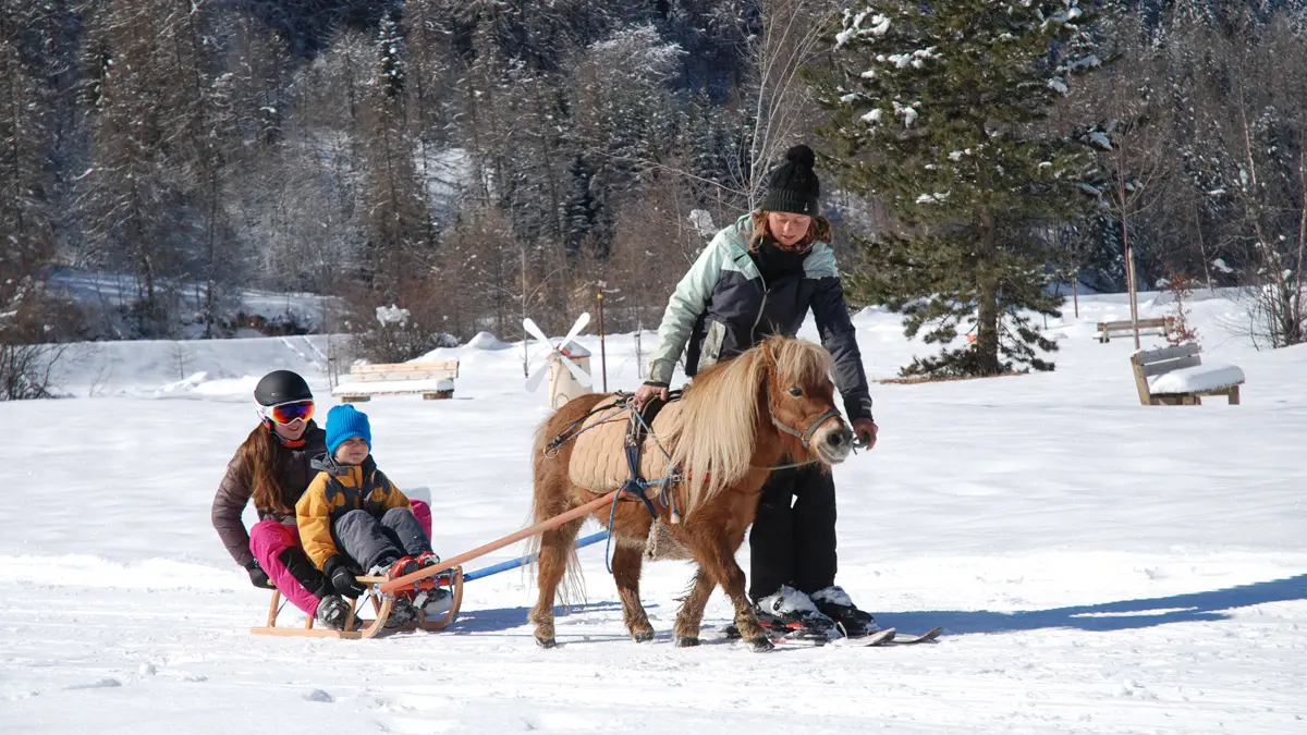 Poney-luge avec Les Ecuries des Ecrins, St Léger-les-Mélèzes