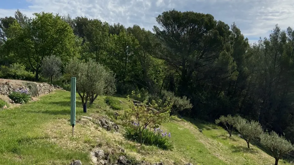 La Cabane de Chiffounette