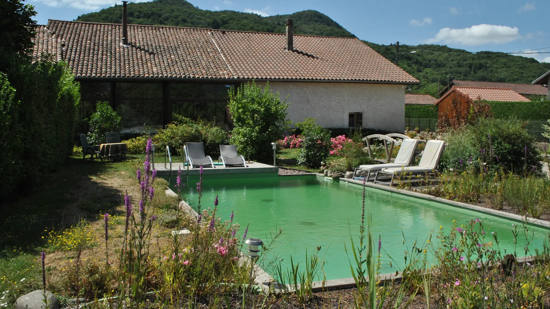 Vue sur la piscine naturelle et écologique avec en arrière plan la maison chambre d'hôtes