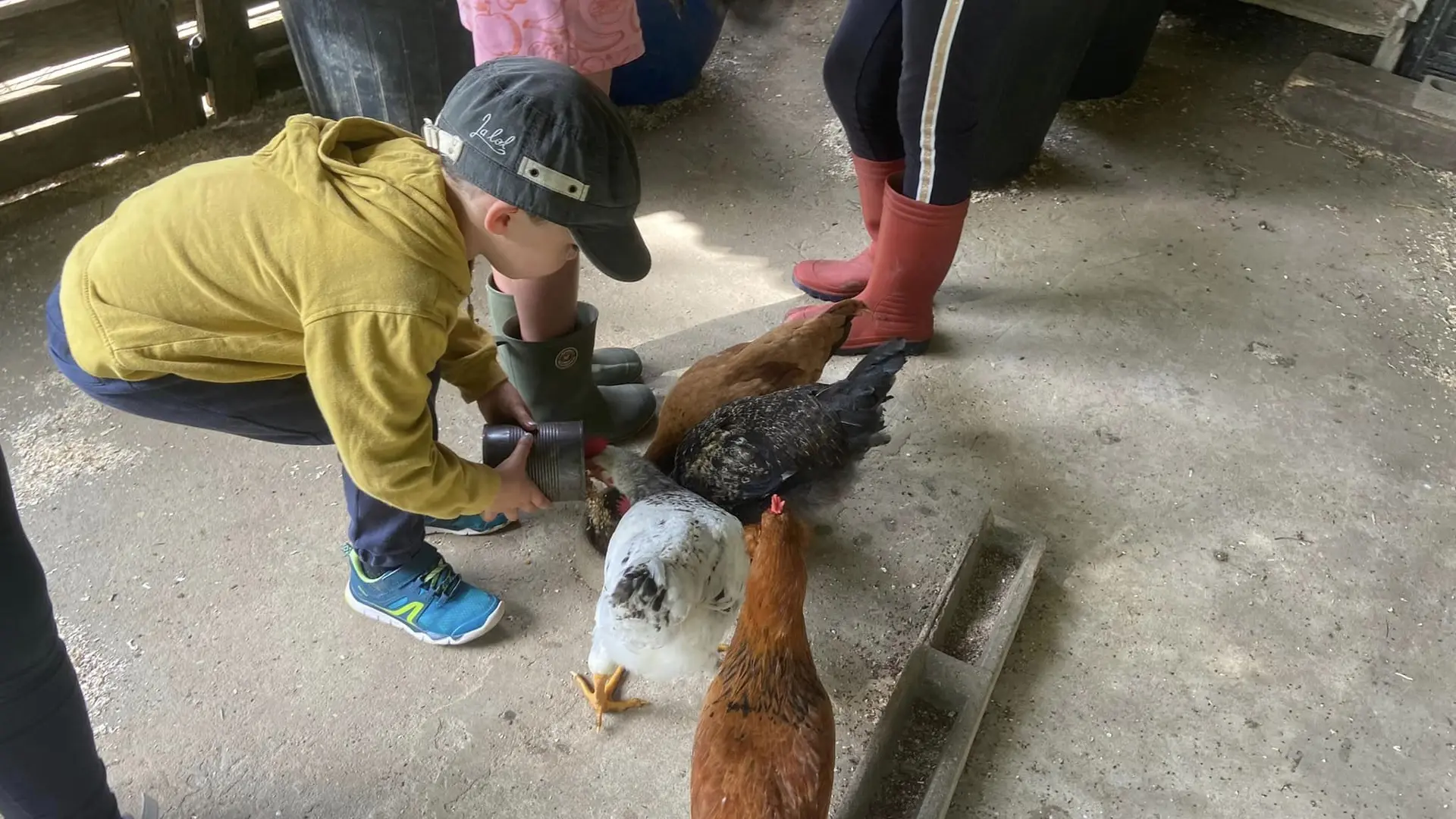 Stages vacances de Pâques - centre équestre Terre et Ciel