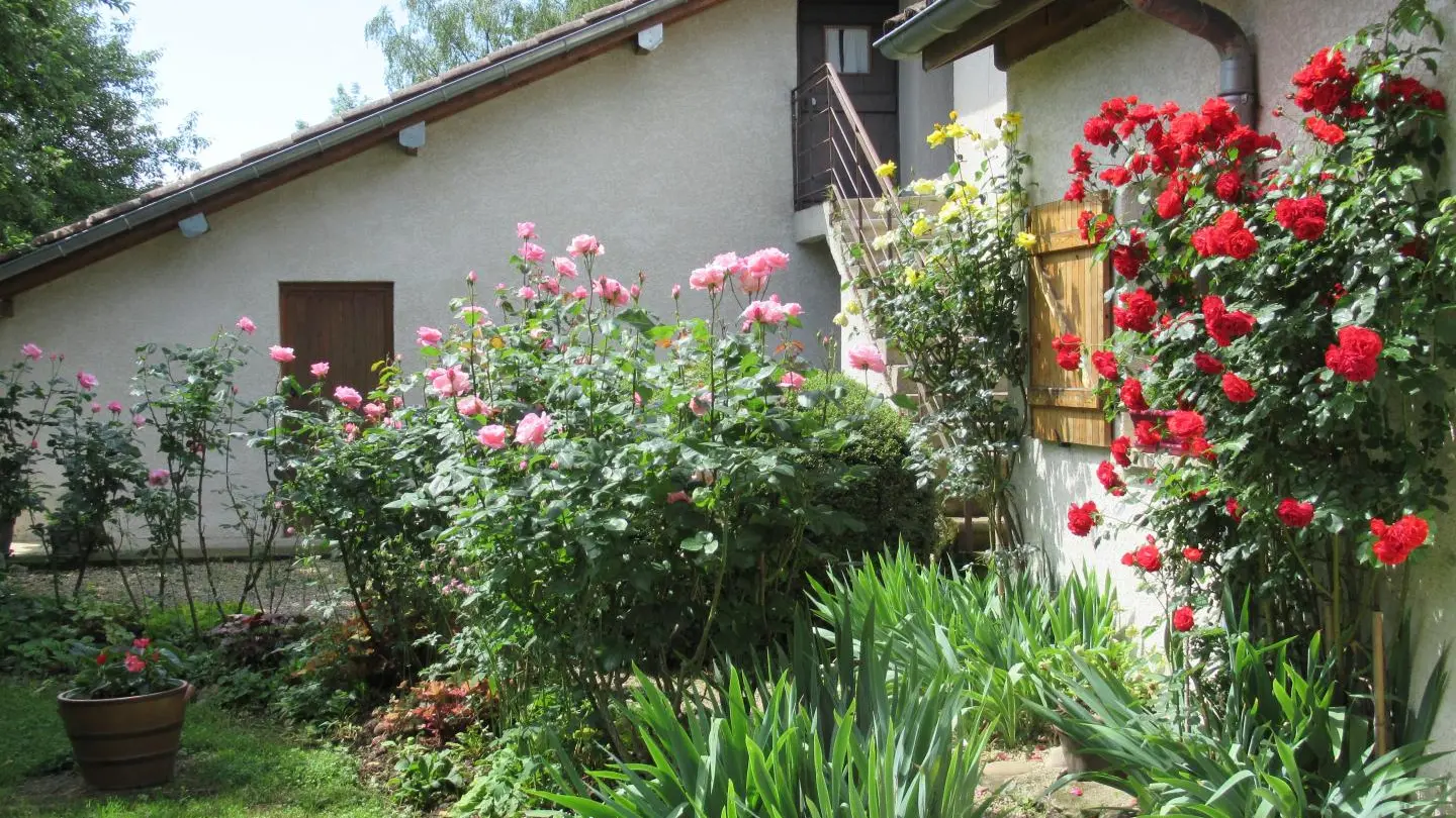 un coin du jardin