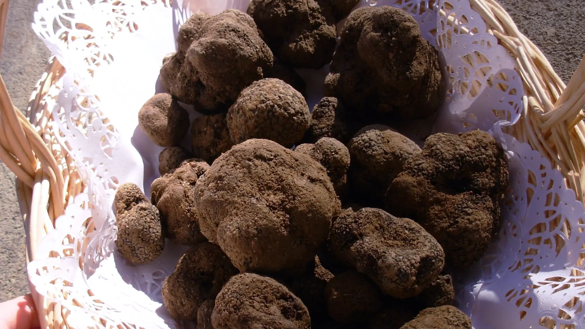 Truffes