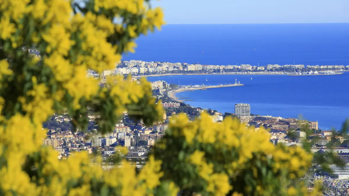 Vue baie Mandelieu