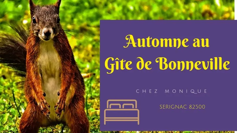 j aime cette demeure car j y suis en sécurité