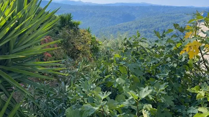 Gîte le Figuier de St Cé- Vue Terrasse à l'étage-Gîtes de France Alpes-Maritimes